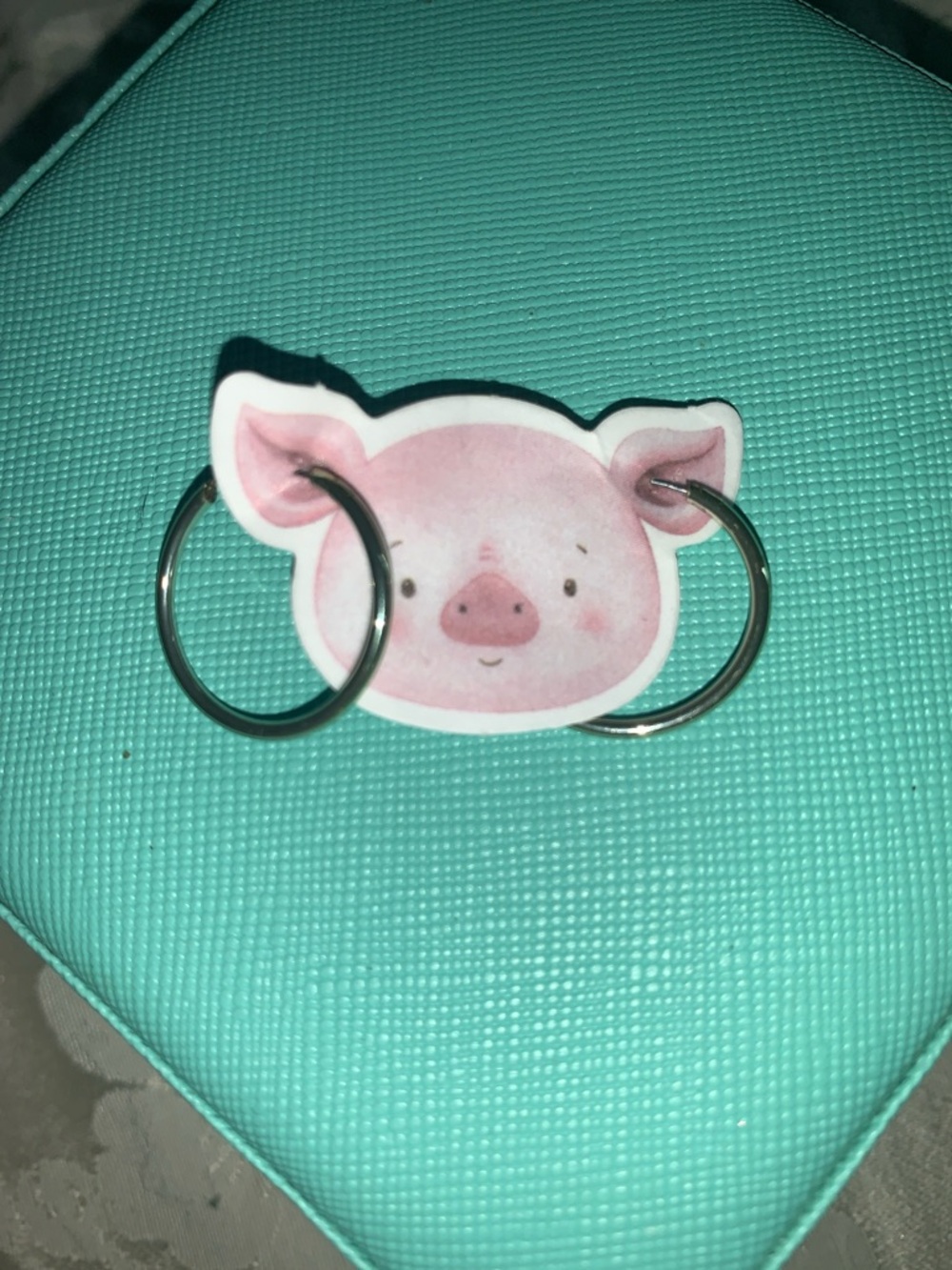 Small hoops, nickel free.